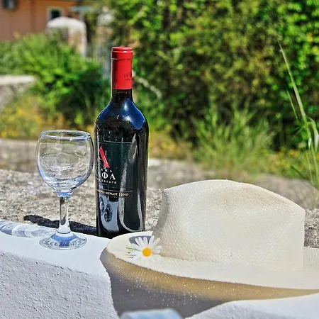 Avgi Studio ガイオス